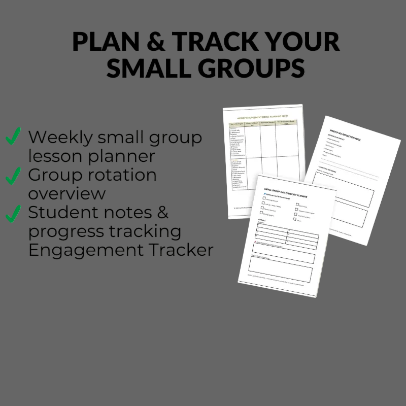 Small Group Instruction Style Teacher Ebook  | Printable & Digital Planners & Trackers  | Earlier Finisher & Role Cards