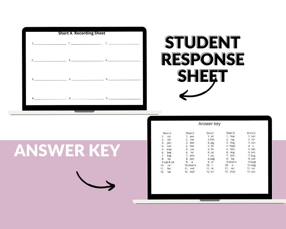 CVC Short Vowel Small Group Literacy Task Cards